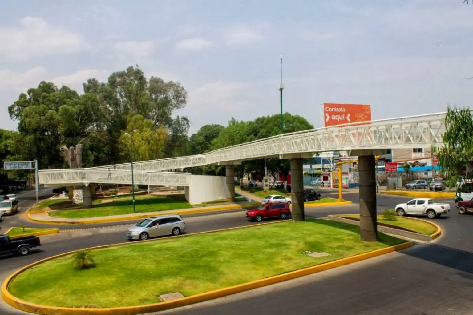 Vista urbana de la Avenida Virrey de Mendoza al atardecer, con palmeras, comercios y ambiente peatonal.