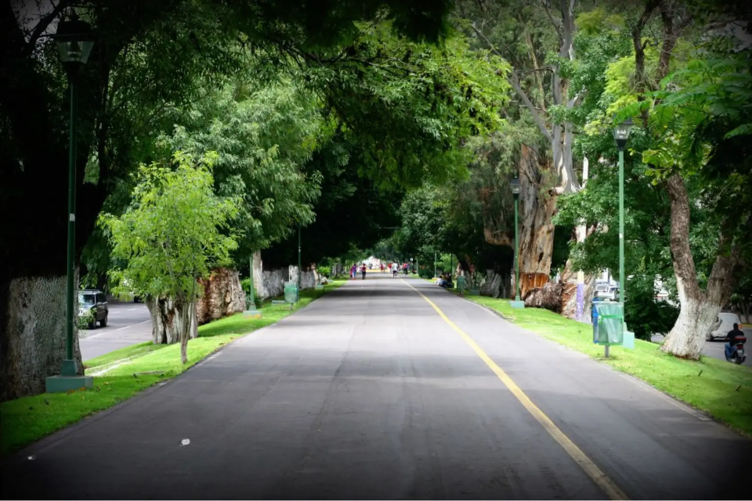 Andador arbolado de la Calzada Zamora-Jacona junto al canal, ideal para pasear y disfrutar de la naturaleza urbana.
